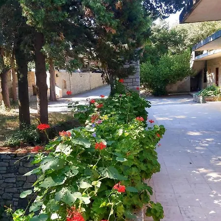 Mountain Vista 3*
